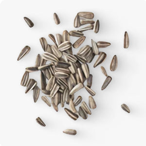 <p>Magnesio</p>